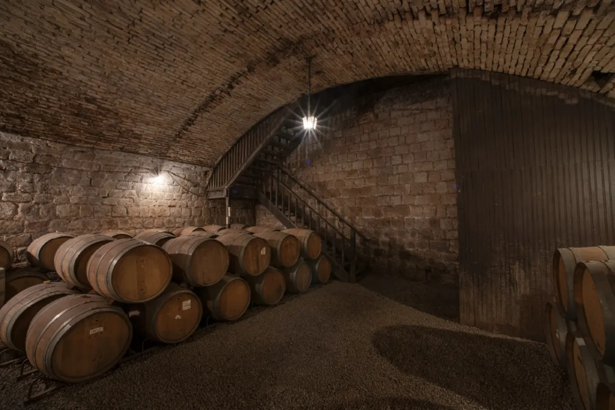 Santa Carolina Wine + HopOn-HopOff + Funicular e Teleferico